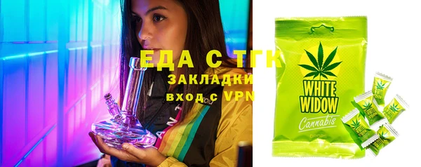 гидра Абаза