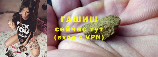 гидра Абаза