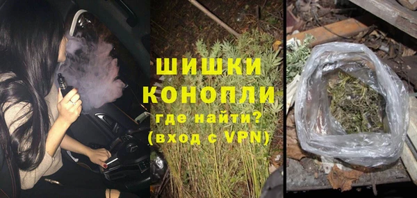 гидра Абаза