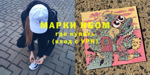 гидра Абаза