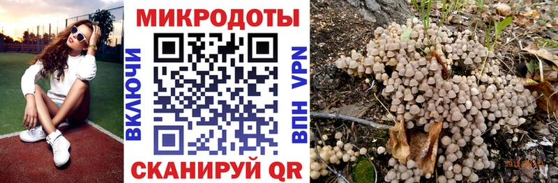 как найти закладки Болхов Галлюциногенные грибы прущие грибы